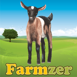 Farmzer