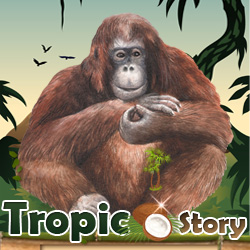 Tropicstory
